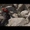 Klassiekert: Bear Grylls versus bijen