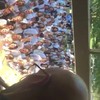 400 studenten zingen voor leraar