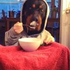 Slobberhond aan het ontbijt
