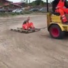 Lol op de bouwplaats
