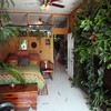 500 planten in je mini-appartement