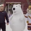 IJsbeer heeft moeite met ijs