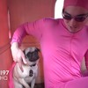 Uw dagelijke portie wtf