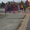 Horrorkermit op carnavalswagen