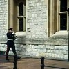 Queen's Guard glijdt uit