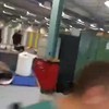 Beste biem in de aula