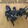Brute hexapod robot