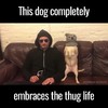Thug hond
