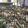 Ultieme kutprank