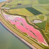 Water kleurt roze op Texel