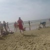Lifeguards redden hond
