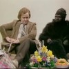 Classic Rowan Atkinson is Gerald de gorilla