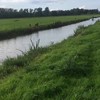 Volgas in de polder