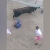Puntje voor de stier
