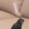Random wtf van de dag
