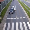 Netjes remmen voor een zebra