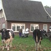 Boer Gerrit uit Usselo doet koeien melk'n