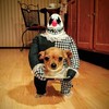 Ook je hond doet Halloween