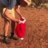 Kerst kangoeroe
