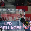 Vliegende keeper
