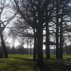 Laagvlieger in de Achterhoek