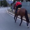 Paardenrace op de weg