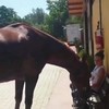 Rustig zitten met je paard