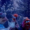 Muppets doen Ringing of the Bells