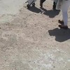 Ondertussen in Spanje