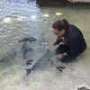 Vissen training