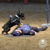 Politiehond Poncho showt skills