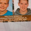 Reaguren in het jaarboek