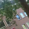 Gekkie op het dak in Deurne
