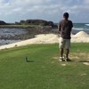Als dat geen birdie is