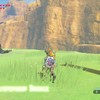 HowTo winnen bij Zelda