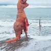 T-Rex blijkt amfibie te zijn