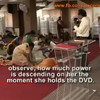 DVD is krachtig
