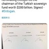 Erdogan, slimme man