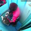 Hond in de lift