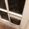 Er staat een kat voor de deur