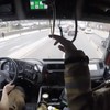 Brandweer door het verkeer