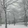 Winter in Nederland, 1965