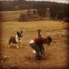Koter speelt honkbal met zijn hond