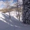 Skiër komt in lawine
