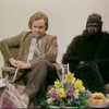 Not The Nine O'Clock News - Gerald the gorilla