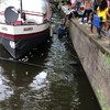 Bertje heeft teveel gezopen