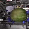 Meloen pellen
