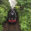 Jacobite trein in de bossen