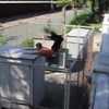 Parkourfail in de replay