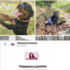 Vrouw gaat naar Dominicaanse Republiek dus dumpt hond in bos